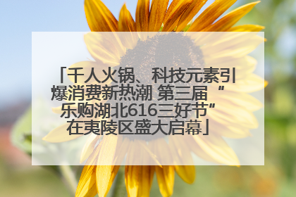 千人火锅、科技元素引爆消费新热潮 第三届“乐购湖北616三好节”在夷陵区盛大启幕